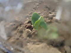 050529_04.JPG