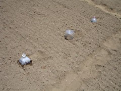 050529_33.JPG