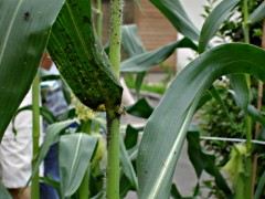 050625_04.JPG