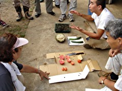 050730_07.JPG
