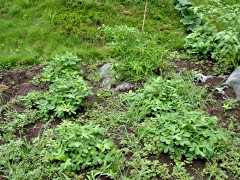 050813_03.JPG