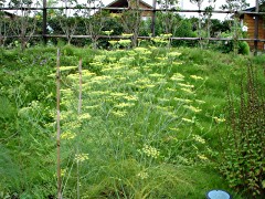 050813_06.JPG