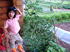 050820_06.JPG