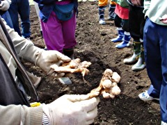 060409_05.JPG