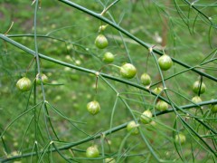 060610_01.JPG