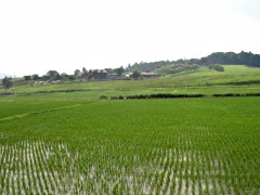 060617_27.JPG