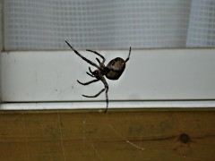 060812_25.JPG