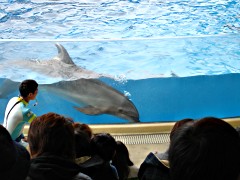 061126_20.JPG