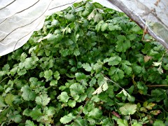 061216_13.JPG