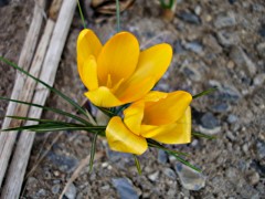 070303_02.JPG