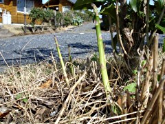 070401_09.JPG