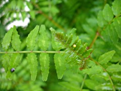 070512_25.JPG