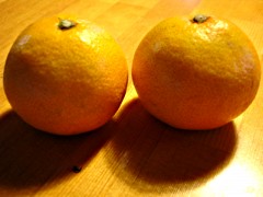 071110_16.JPG